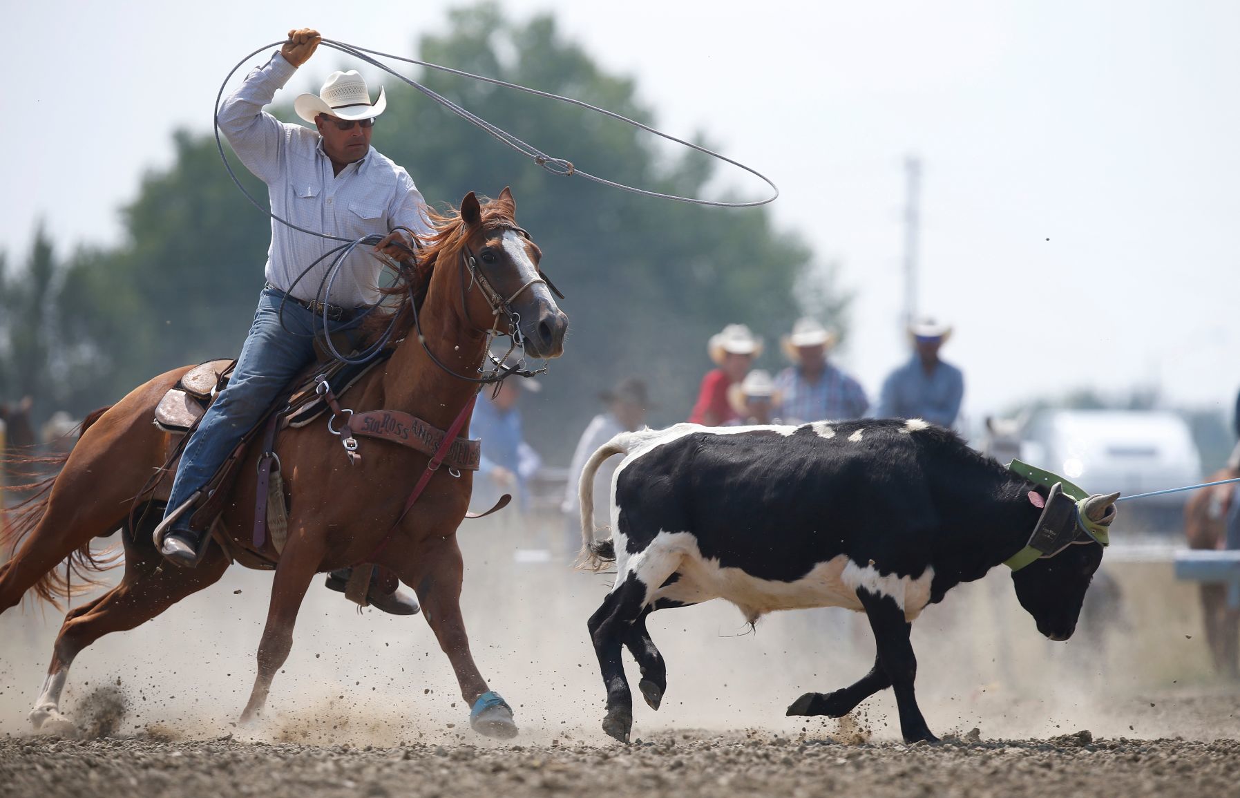 100th Anniversary of Crow Fair